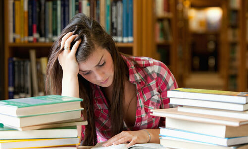 Introduction LearnPress – the best LMS plugin for WordPress