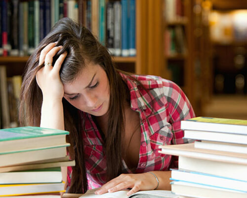 Introduction LearnPress – the best LMS plugin for WordPress